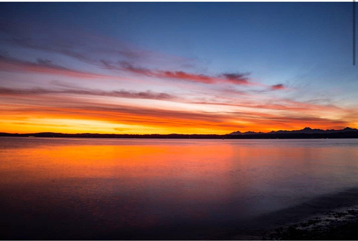FoDiscoveryPark's tweet photo. Beautiful sunset over the Puget Sound from the Discovery Park Bluffs. Photo by @chrisaldridgephotos..
..
#discoverypark #fortlawton #urbanforest #saveopenspace #seattleparksandrec #seattleparks #pnw #friendsofdiscoverypark #sunset #pugetsound https://t.co/AGKE14HZba