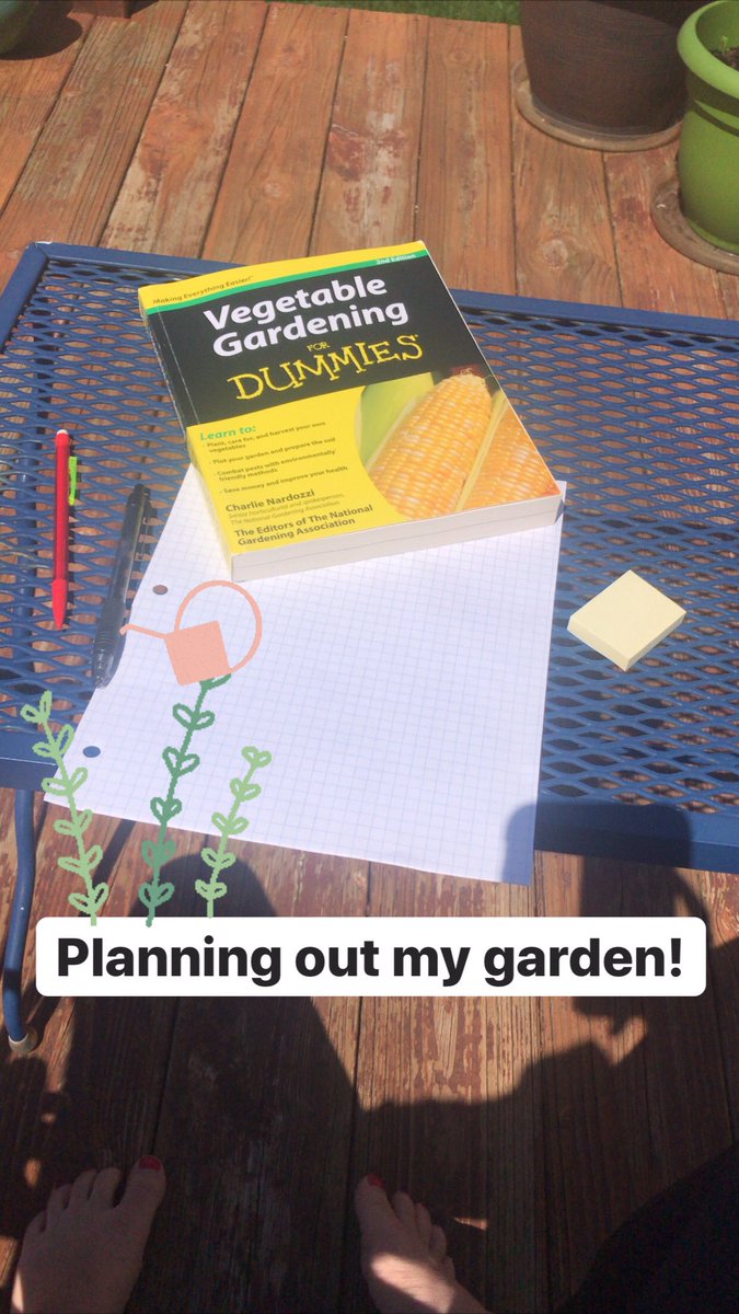MissStevens03's tweet photo. Hoping to have a veggies garden this year so I have been reading Vegetable Gardening for Dummies and planning out my garden! #12DaysofeLearning #day5 https://t.co/9LIKi0imTk