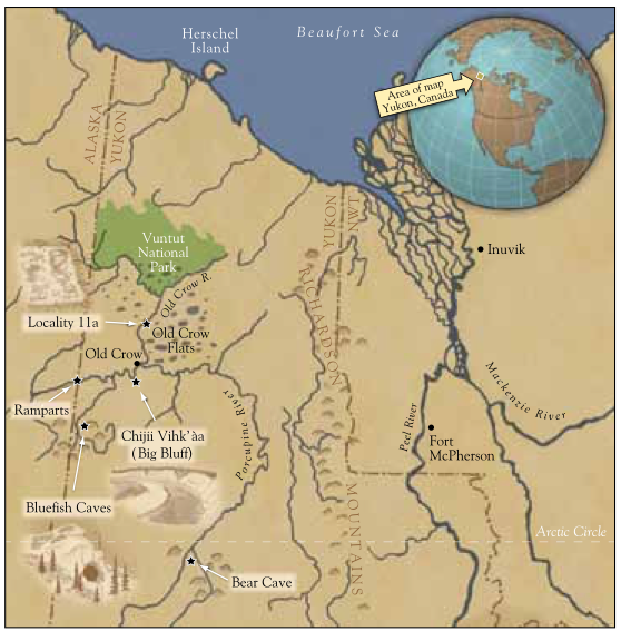 The Old Crow Flats is special scientifically because it existed within E.  #Beringia, beyond the limit of glaciation, and connected with Siberia via the Bering Land Bridge. We were interested in permafrost, and especially paleo work as analogues for future warmer Arctic. 2/n