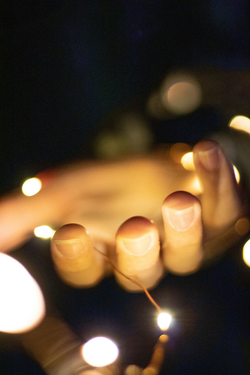 MrHicksArt's tweet photo. #DAPProjectoftheDay from Sarah Case. This is part of her photo series titled "Warm vs. Cool". Great use of a shallow depth of field, color, and composition! #BrunswickPride https://t.co/XYcu3iB8i2