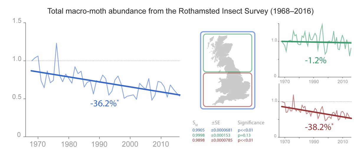 British moths are in decline, particularly in the south. The causes are poorly understood, though climate and land-use changes are thought to be important. However, there’s increasing concern that light pollution may play a role. [2/11]