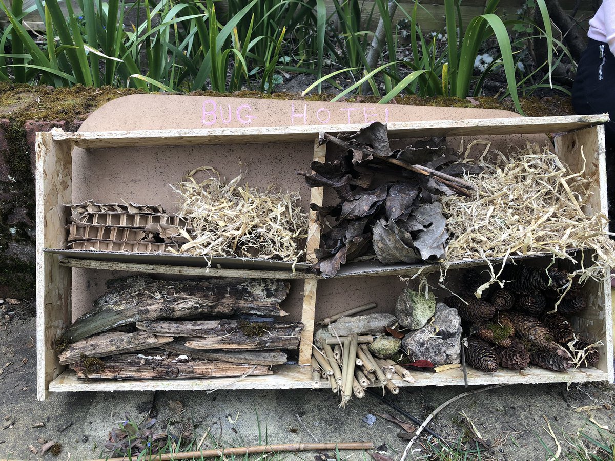BoddingtonSally's tweet photo. Bug hotel completed this afternoon @OWPScaterpillar @OWPSchool https://t.co/K2l8MBiBFF