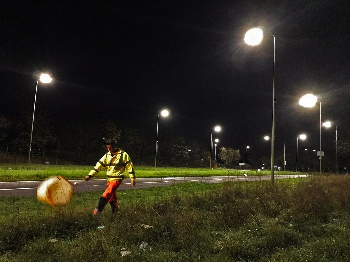 At these sites, I sampled caterpillars in lit and unlit areas, to see whether lighting has had long-term impacts on moth communities. This has involved sweeping grassy verges at night for nocturnal noctuid moth larvae… [6/11]
