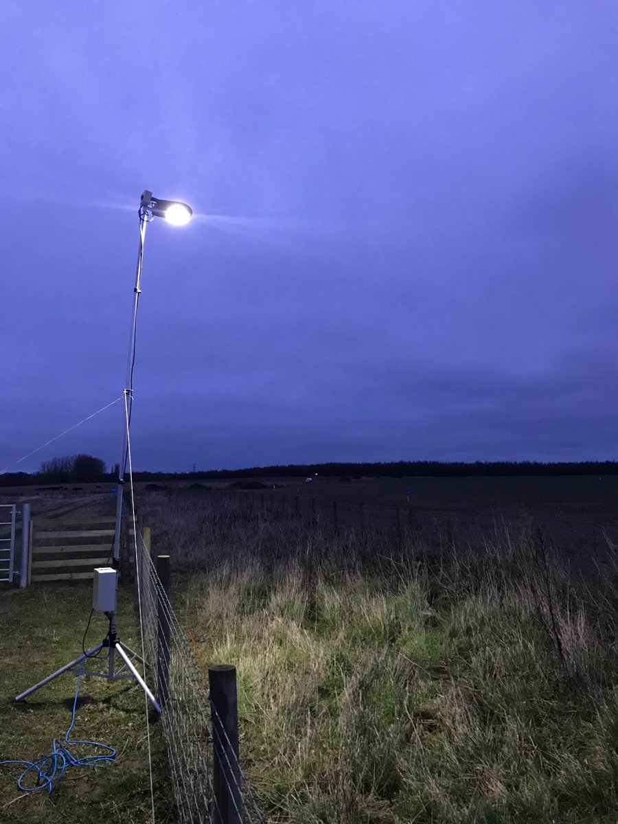 This winter, I installed experimental lighting rigs in previously unlit field margins to test for short-term effects on the behaviour of nocturnal moth larvae. (Thanks  @earth_trust &  @BBOWT for providing access to their land!) [8/11]