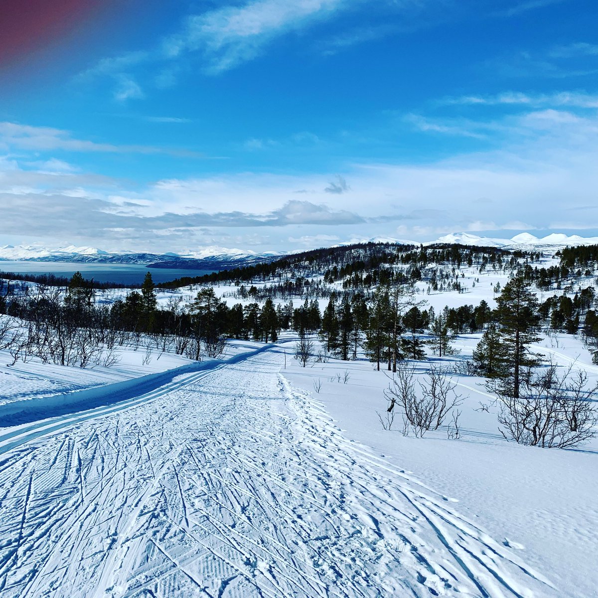 Ankenesfjellet leverte nok en gang! #verdensbestebakgård #minbakgård #rettutenforstuen #luksus