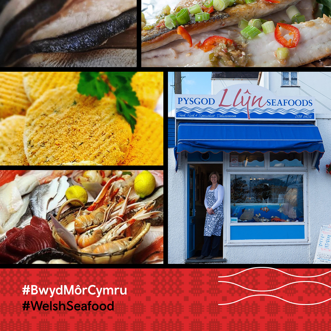 porttoplate's tweet photo. Do you live in #Pwllheli? Pysgod Llŷn Seafood offer a fine choice of fish and shellfish and are currently providing locals with a home delivery service!*
Get a parcel of delicious seafood delivered straight to your door.
*Minimum order of £15. 
https://t.co/rJ0M2A0JTO https://t.co/Cl4WzvBPLY