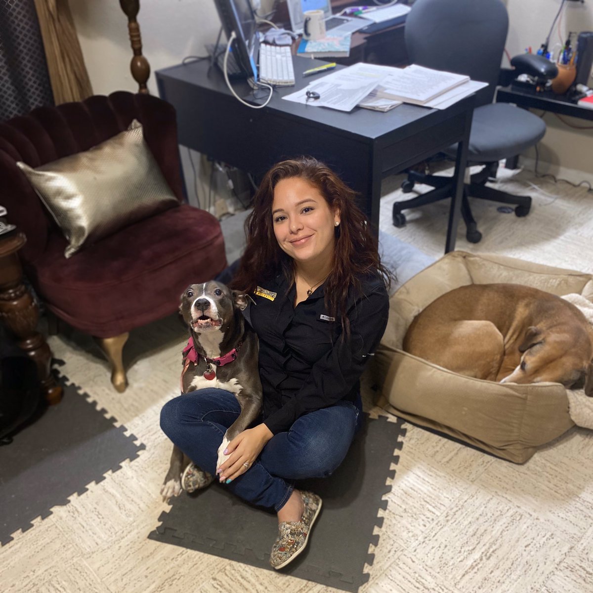 iDesignFelicia's tweet photo. Happy Friday @StMarysU students from Dr. Cruz, Azula, &amp; Sokka although it’s still too early for him. #StMUOnline #watertribe #firenation #pitbabies https://t.co/sOQy2DyGp9
