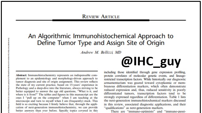 UIPathology's tweet photo. Dr. Bellizzi's recent #IHC review paper
#capvirtualpath
@IHC_guy @pathologists
https://t.co/3hzcaafY34 https://t.co/9b4aCt3UUF