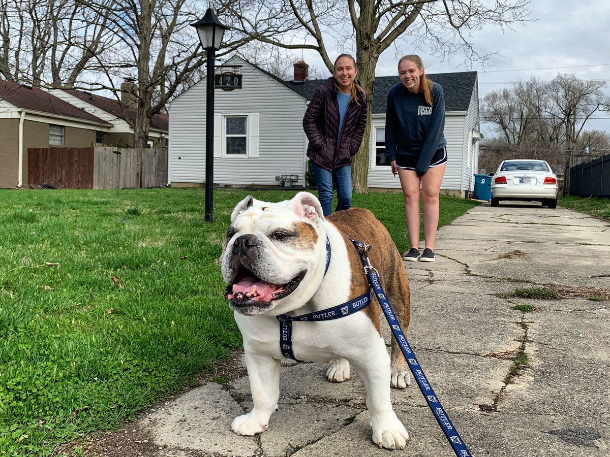 ButlerBlue3 tweet picture