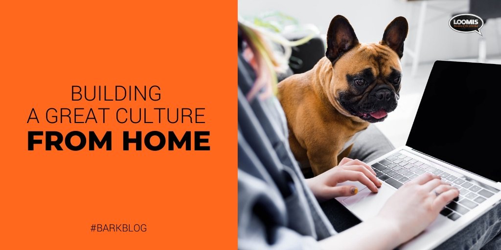 LOOMISagency's tweet photo. Culture is the fabric that holds your company together. You and your team built it together. You curated it together and keeping it healthy is non-negotiable. But what happens when something like COVID-19 drives you apart for weeks on end? #barkblog
https://t.co/n98YVzvCKv https://t.co/JI86L06cAD