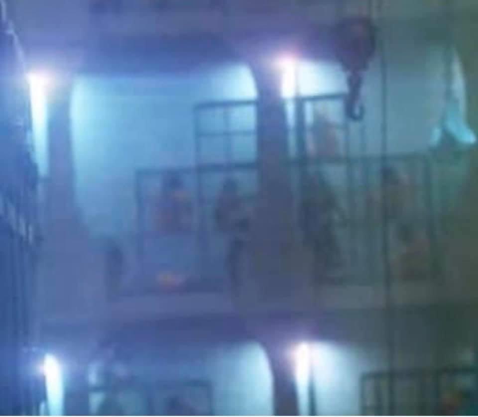 Daughnx's tweet photo. @X22Report Are these the children from the tunnels? https://t.co/gvk18uX5r3