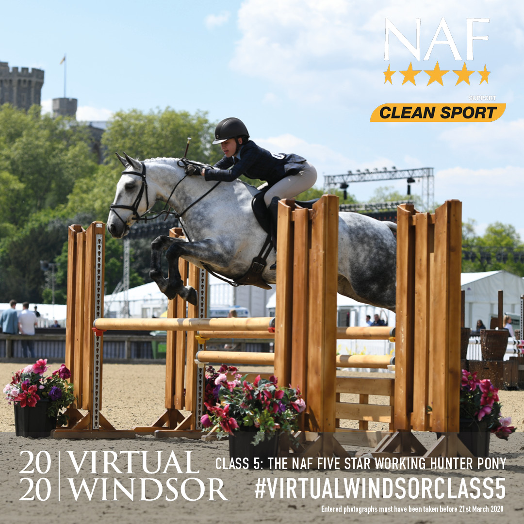 Huge thanks to NAF who are supporting us at Virtual Windsor 2020! Enter your photos via the link below to join! 

virtual.rwhs.co.uk/competitions/

#NAFequine #VirtualWindsor #VirtualWindsor2020