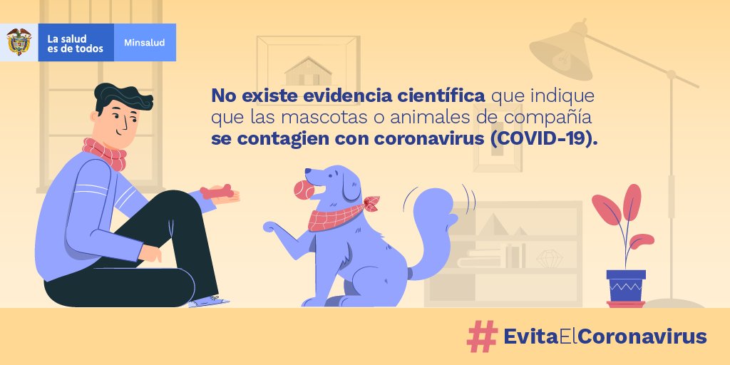 MinSaludCol's tweet photo. No creas #MitosDelCoronavirus como que tu mascota puede contagiarse con coronavirus (COVID-19). No existe evidencia científica ni casos confirmados de la enfermedad en gatos o perros, en ninguna parte del mundo. #EvitaElCoronavirus https://t.co/QOxlf52v0O