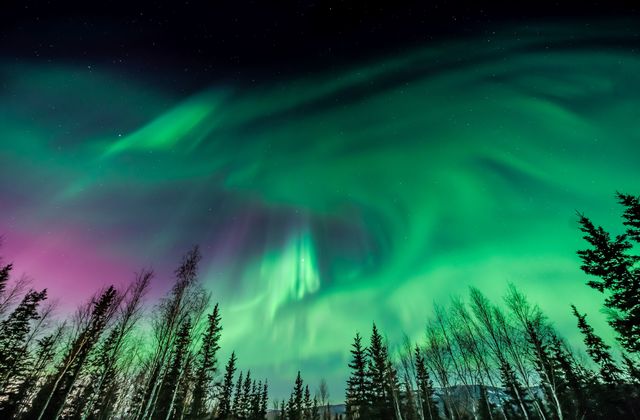 smartbombcreate's tweet image. In a time of social distancing, many activities are unavailable. Fortunately Polar Bears International and explore.org are giving the housebound an Arctic experience by live streaming the night sky. It’s your chance to see the Northern Lights. explore.org/livecams/zen-d…