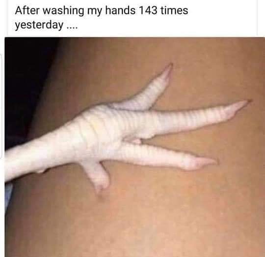 LisaFCSW's tweet photo. Are your hands looking like this? Lotion and Calendula Paste are on my website as well as soap that doesn't dry your skin. At least not this much! https://t.co/cIwN0KXQS1
#handcrafted #washyourhands #nilesmi #stjosephmi #swmichigan #realsoap https://t.co/Y9TtLkMGQg