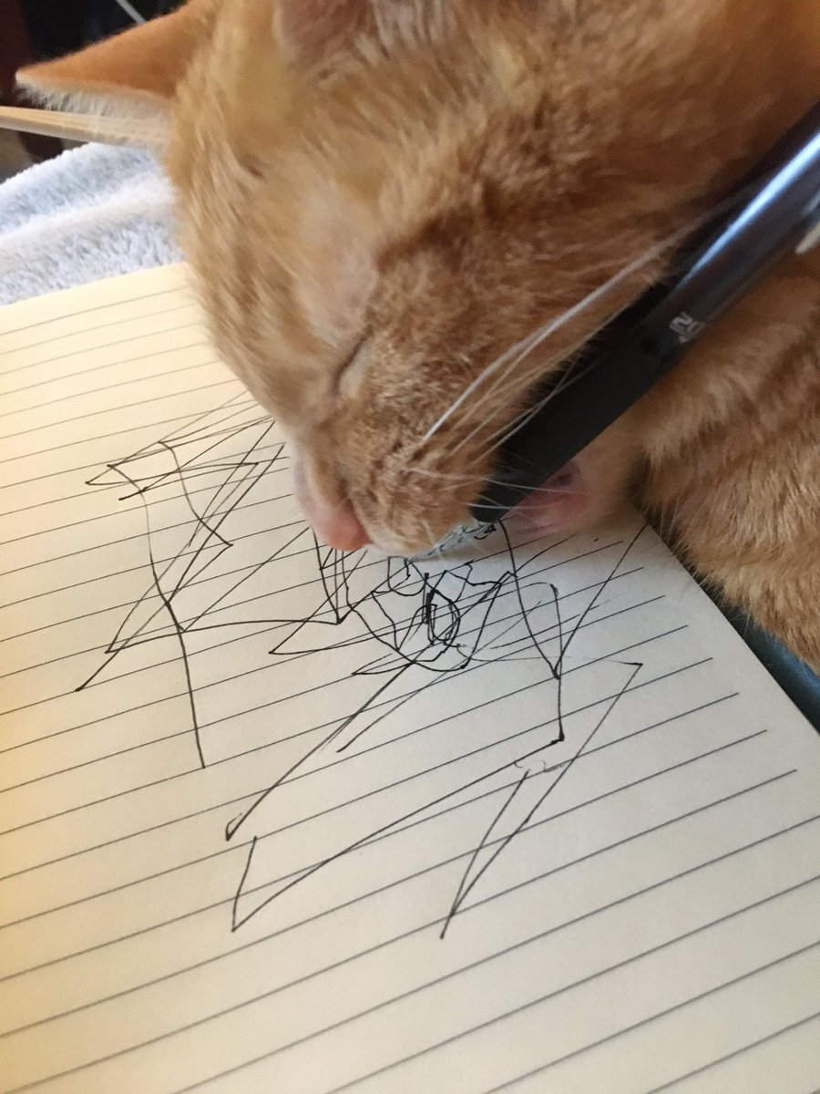 sg_rose_'s tweet image. Quarantine day ???: the cat is trying to communicate