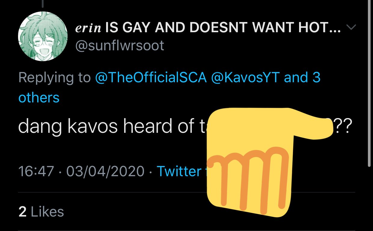 Kavos Callmecarson Fans Are Mad At Me For Talking About Something Carson Made Public Because It Invaded His Privacy So To Prove There Point About How Bad Invading Privacy Is