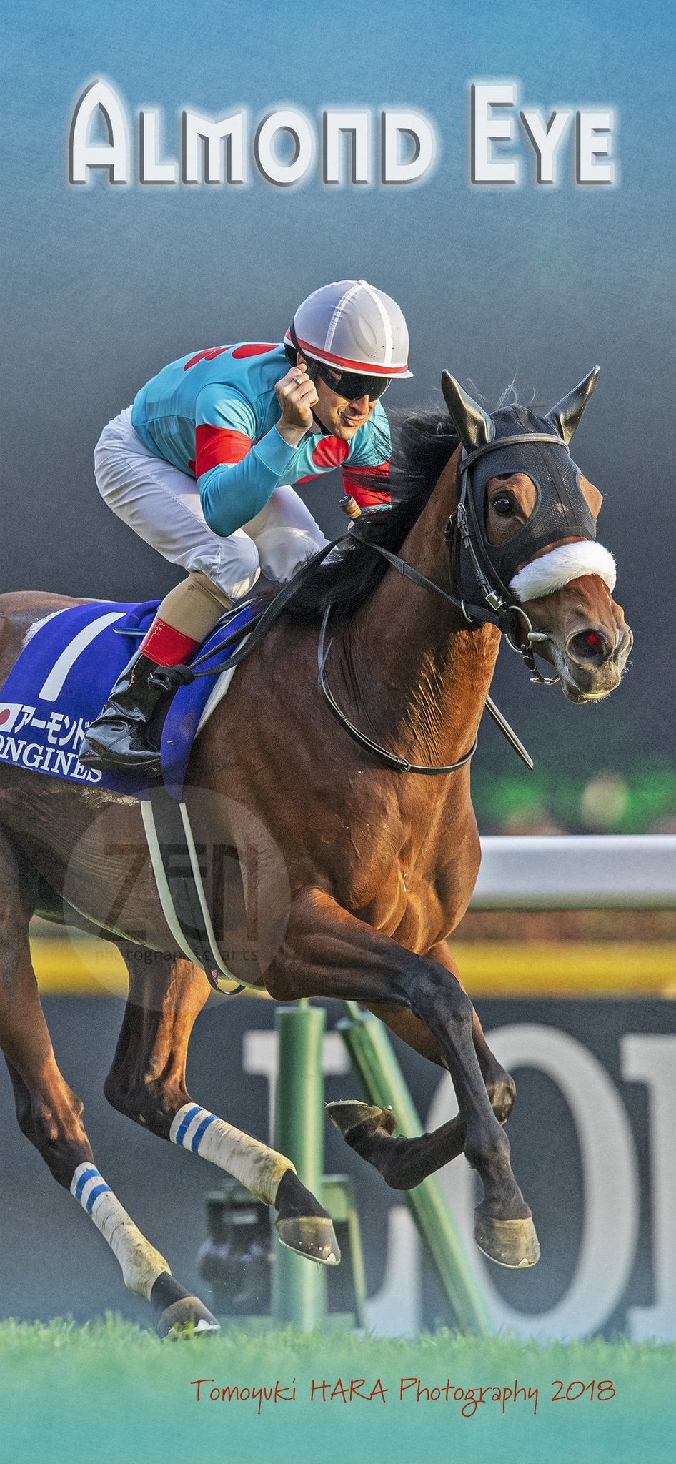 ③◆　競馬　JRA　◆　アーモンドアイ　◆　アクリル　スマホスタンド　◆三冠馬◆ 競馬 JRA アーモンドアイ アクリルスマホスタンド 三冠馬
