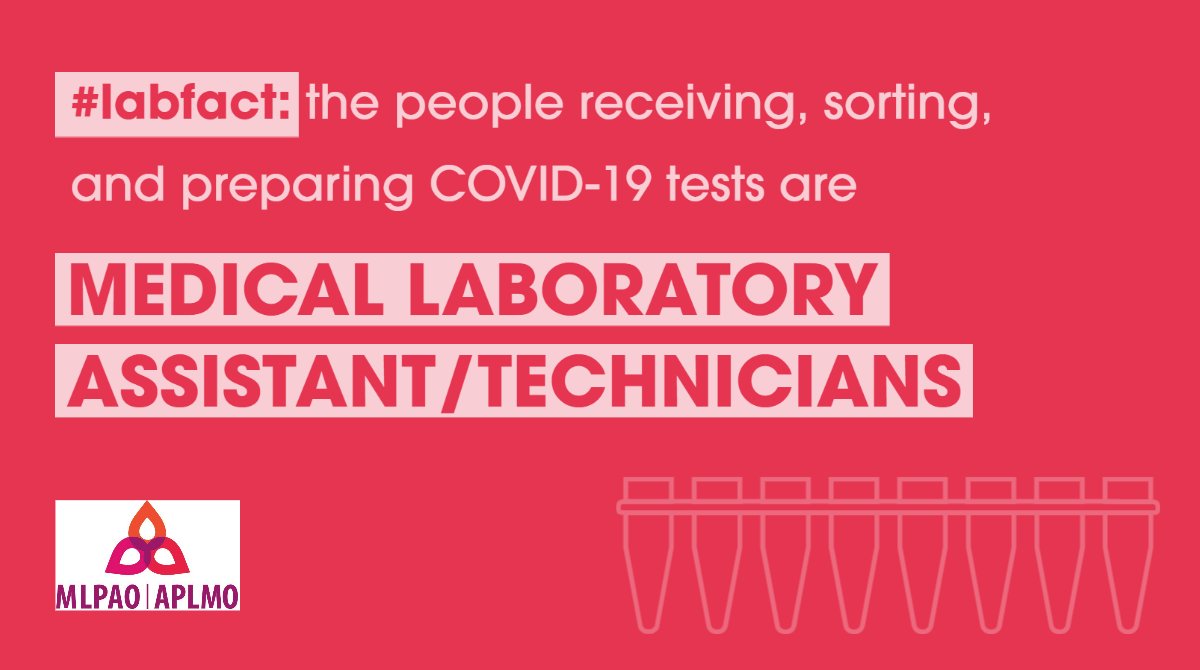 MLPAOnews's tweet photo. Thank you for your hard work, #MLATs! #medlab staff are the #hiddenheroes on the front-lines of #COVID19. Send some thanks their way on our Thank a Lab Professional site: https://t.co/vvSt96Wkl4. 

#ONlabforthepeople #medlabthx #mlpaolabfact https://t.co/Vryn2BIYkt
