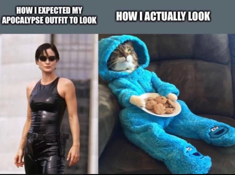 BrightonBnB's tweet photo. Who else can relate? 😂 https://t.co/H74CqZj33m