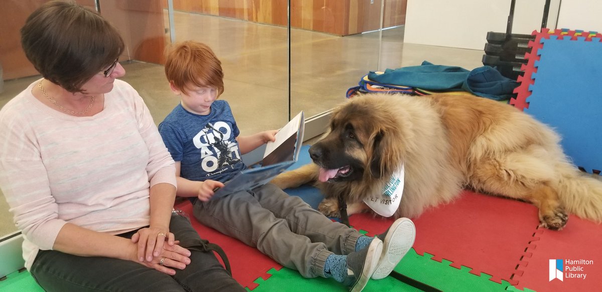 HamiltonLibrary's tweet photo. Coen read to a captivated Zeus and volunteer Lori at #HPLWaterdown's Sit! Stay! Read! program. (This program was held before our closure.) https://t.co/vjHXXu2Hqq
@HB_SPCA #HamOnt #HPLkids https://t.co/pjBgKolRRu