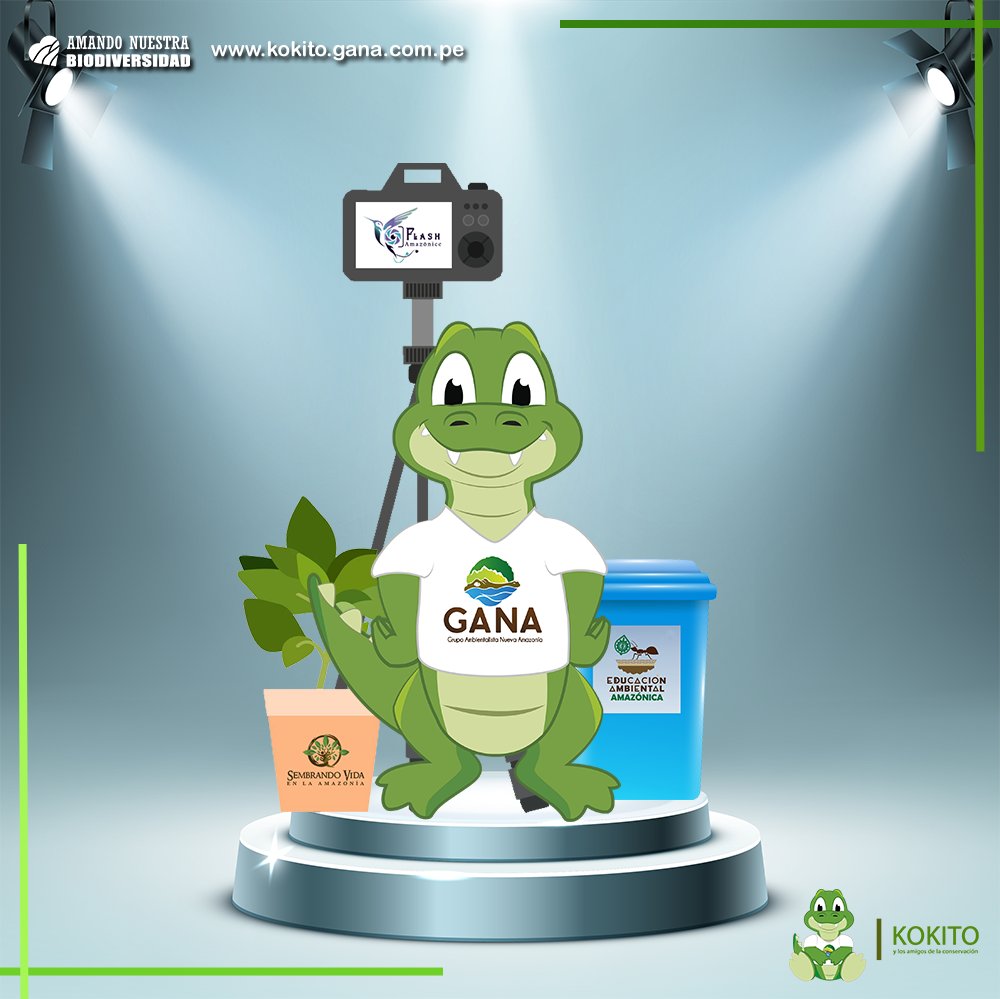 kokitoamazonia's tweet photo. 🌐 https://t.co/VoDsVK1aih 🐊
#NuevaAmazonía ♻️📸🌳

🐊 #Kokito es la caricatura principal de @nuevaamazonia16, organización principal de Educación, Cultura y Ciudadanía Ambiental; y nuestro protagonista en "Amigos de la conservación" 💙💜🧡

Amando nuestra biodiversidad 💚 https://t.co/2vCo4diBSE