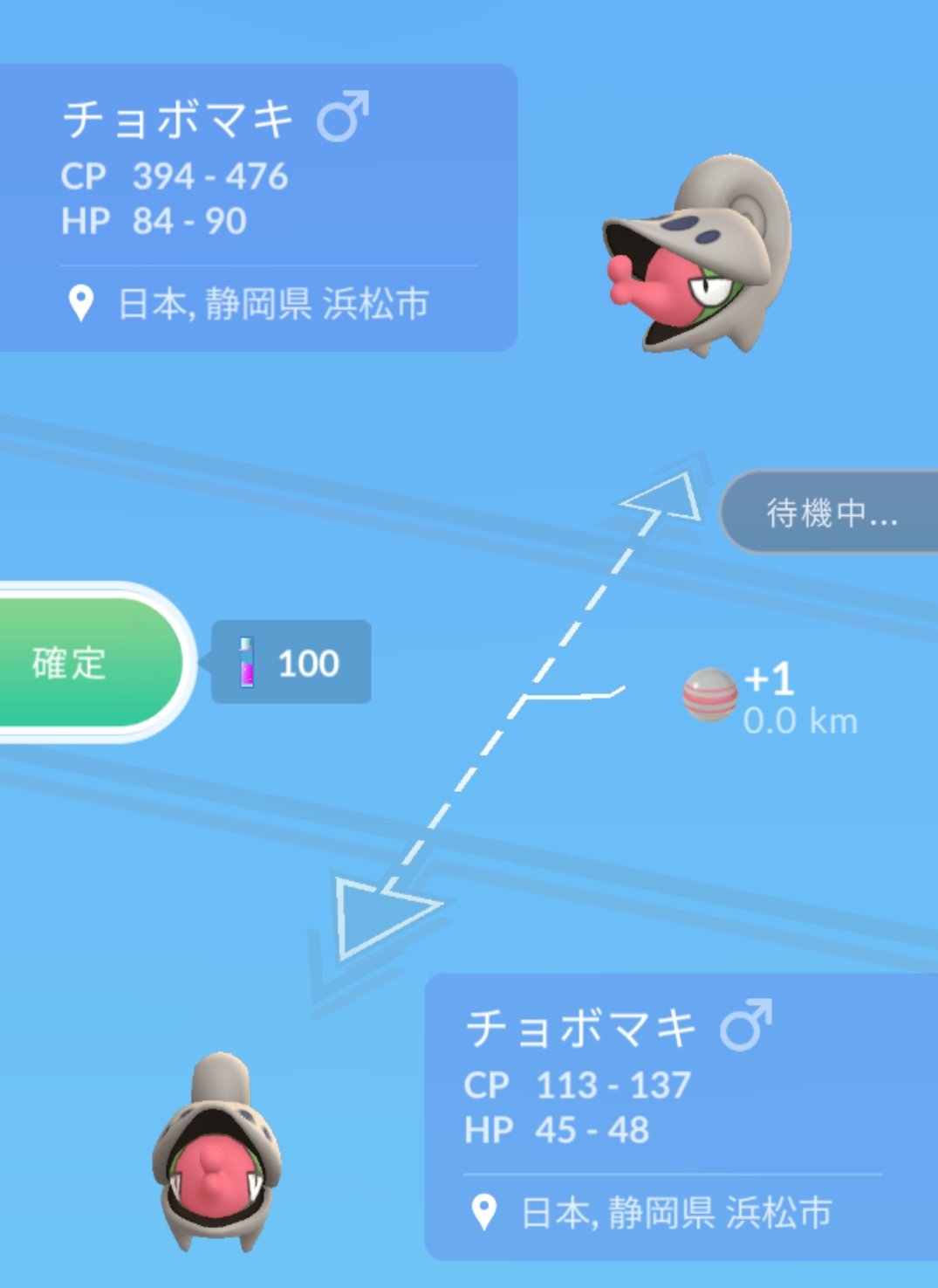 かっちゃん ８ ６ ８gofest札幌 昨日ポケモンｇｏでゲットしたキラポケモンその１ キラチョボマキ ２匹目 １週前にゲットした チョボマキ と 昨日 おととい ゲットした チョボマキ を交換したら キラチョボマキ になりました これで