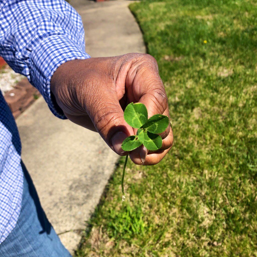 I didn’t find a clover yet today, but MY DAD (who hates being left out and was really sad bc he’s never found one) DID. He is very happy now 