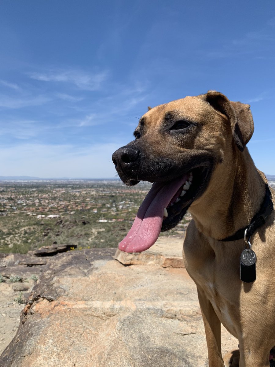 Cierra Runge Burnell tweet media