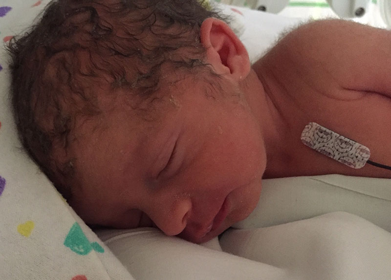 Brian Rodman tweet media