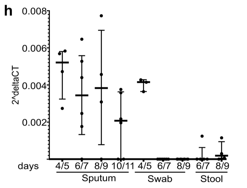 13/ Findings: Active replication most evident in sputum and swabs in first 5 days. Little to no sgRNA detected in stool, but not negative. (see below)