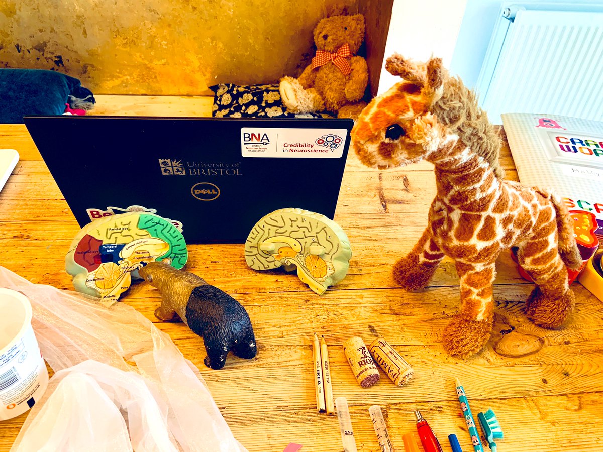 BritishNeuro's tweet photo. Gold Bear and Guy Garvey Girraffy are discussing their favourite parts of the #brain. Garvey is a firm fan of the Temporal Lobe, whereas GB prefers the wonders of the Amygdala.
#BrainBants
#WFHWithChildren
#WFHButNotAlone
#FridayThoughts
#neuroscience https://t.co/59qrjTEDWr