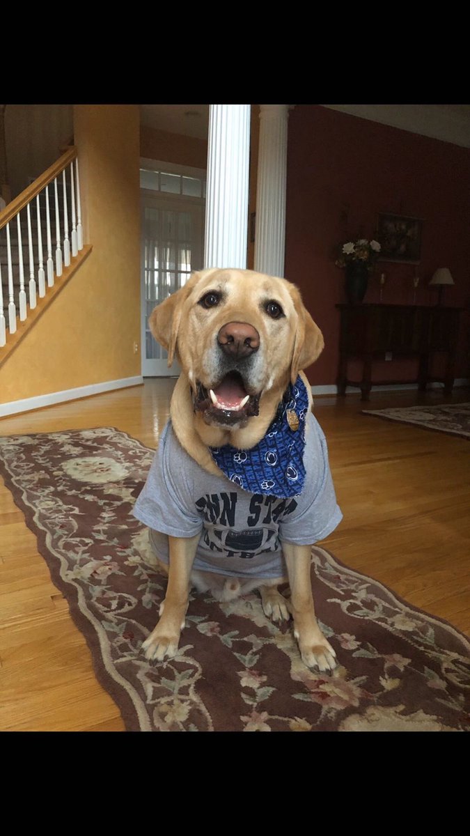 PSUBarstool's tweet photo. Happy #GoodBoyFriday, Penn State! https://t.co/CL2AglT0s1