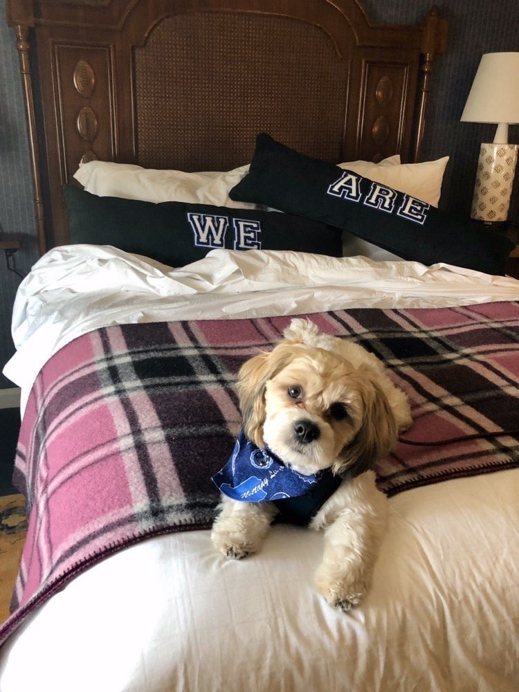 PSUBarstool's tweet photo. Happy #GoodBoyFriday, Penn State! https://t.co/CL2AglT0s1