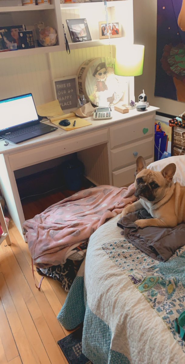 BatboyWalk's tweet image. Mom working from home l. I rather be at park