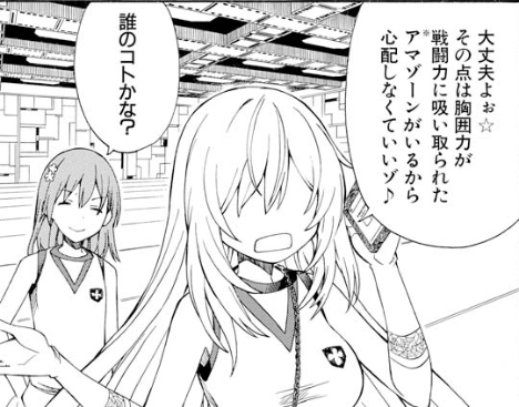 ※アマゾーン:ギリシア神話に登場する女性しかいない部族。アマゾネス。弓の扱いのため乳房を切り落とすことがあるため『乳無し』を語源とするとされるが、言語学的な根拠は無い
#超電磁砲 
