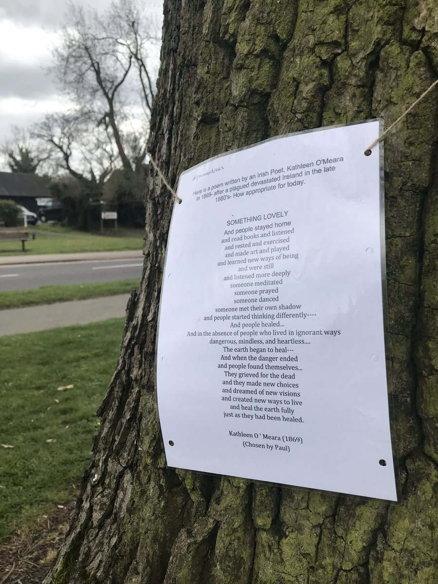 Lynn_Schindler's tweet photo. Spotted in #WelwynGardenCity, #handside #poemsontrees letโs make this a thing. Any anywhere else? Cheered my day https://t.co/4uG6bBlAMl