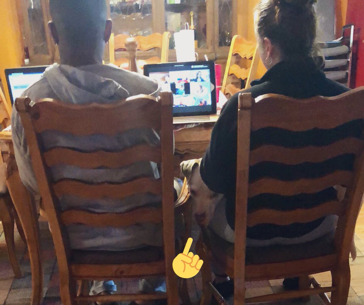 Virtual Faculty Meeting today with a 45 lb pitbull who thinks she’s a lap dog. #bpatriotproud #binghamtoncsd #SpiritWeek  #bhsvirtualspiritweek