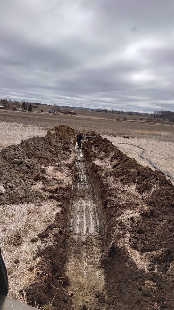 Isaac Borland tweet media