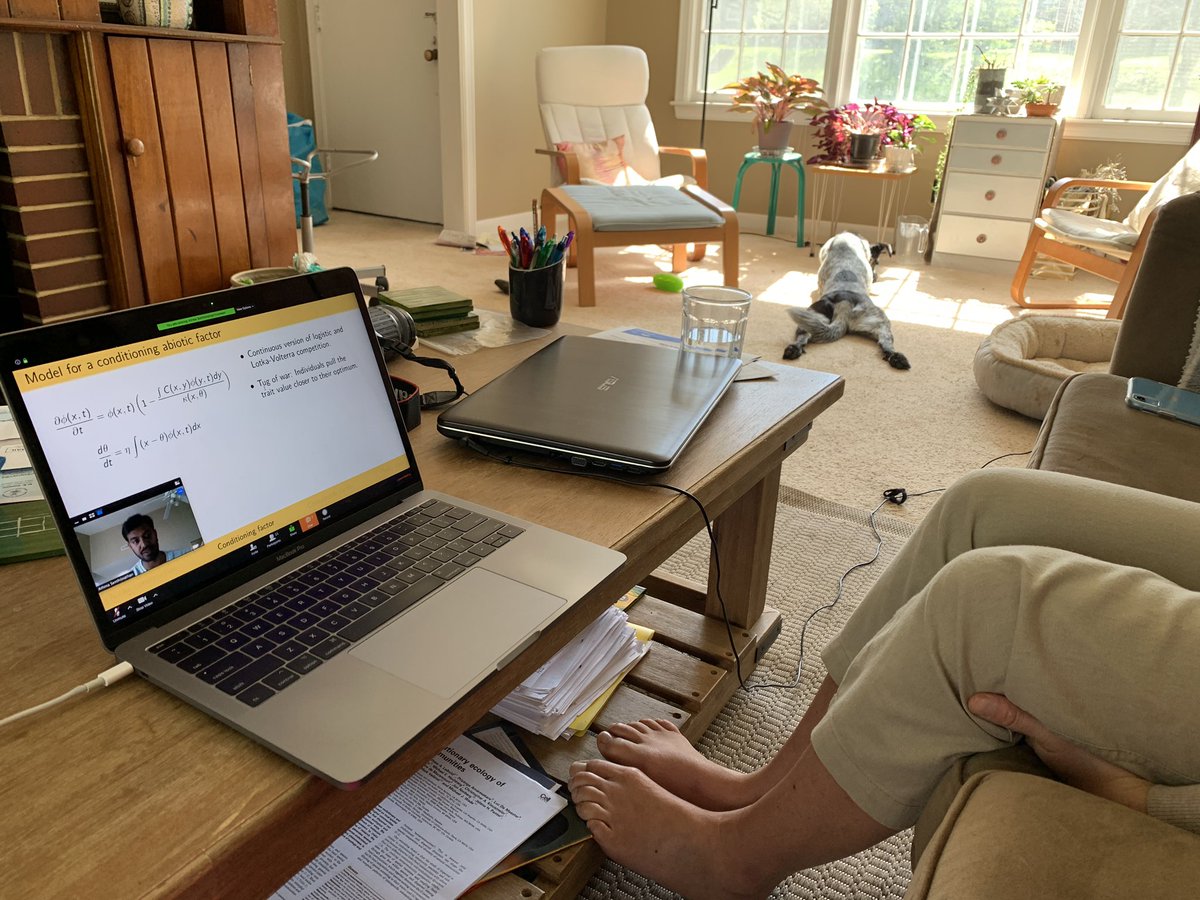 Puppy is NOT happy with lab meeting (not a reflection of human thoughts on <a href="/Athmanathan25/">Athma</a> ‘s cool modeling work!) #labzooming #zoomscience <a href="/UTK_EEB/">UTK EEB</a>