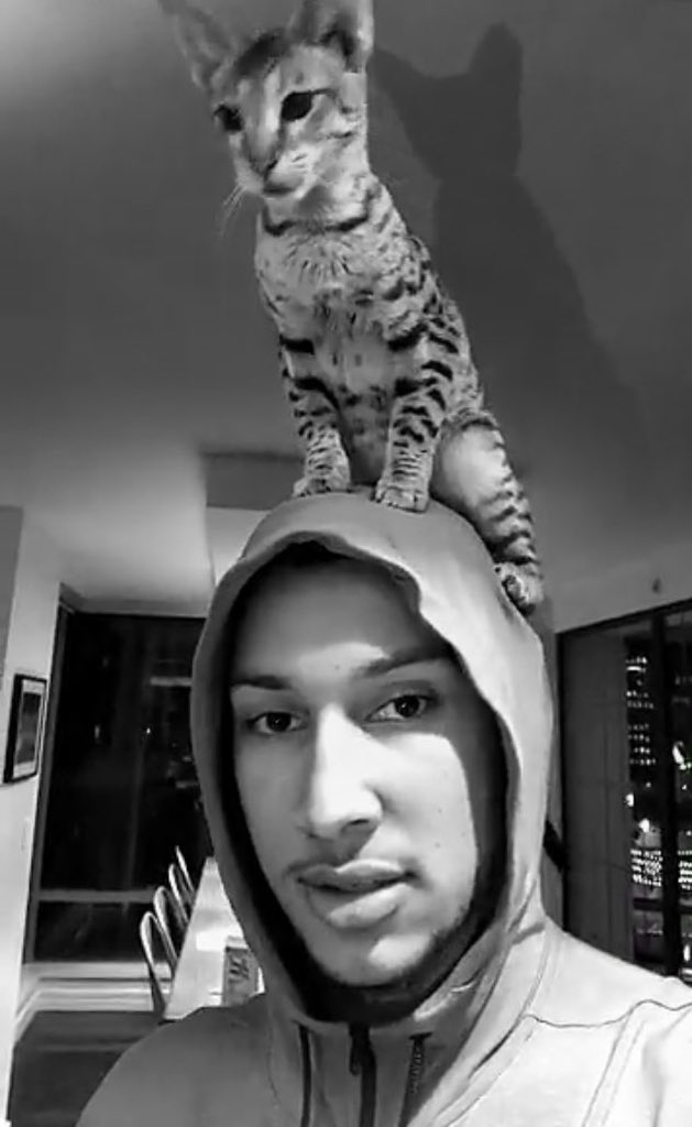 #TheTigerKing || <a href="/BenSimmons25/">Ben Simmons</a>