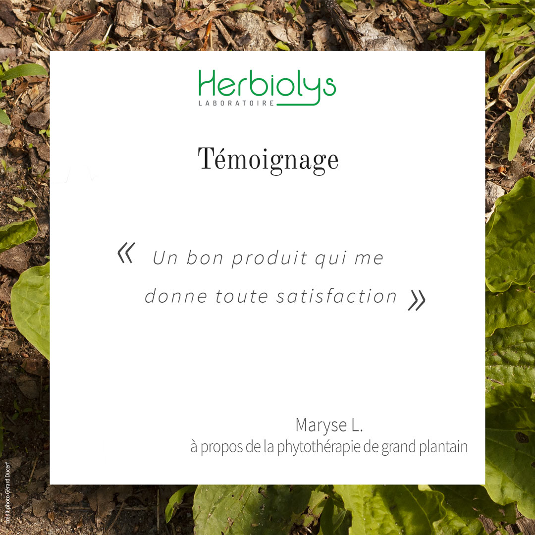 Témoignage de Maryse L. au sujet de la phytothérapie de grand plantain: "Un bon produit qui me donne toute satisfaction".
Utile pour les inflammations des voies respiratoires, des muqueuses et de la peau.
A découvrir ici: ow.ly/9XWa50yVb8s

#Herbiolys #phytothérapie #orl