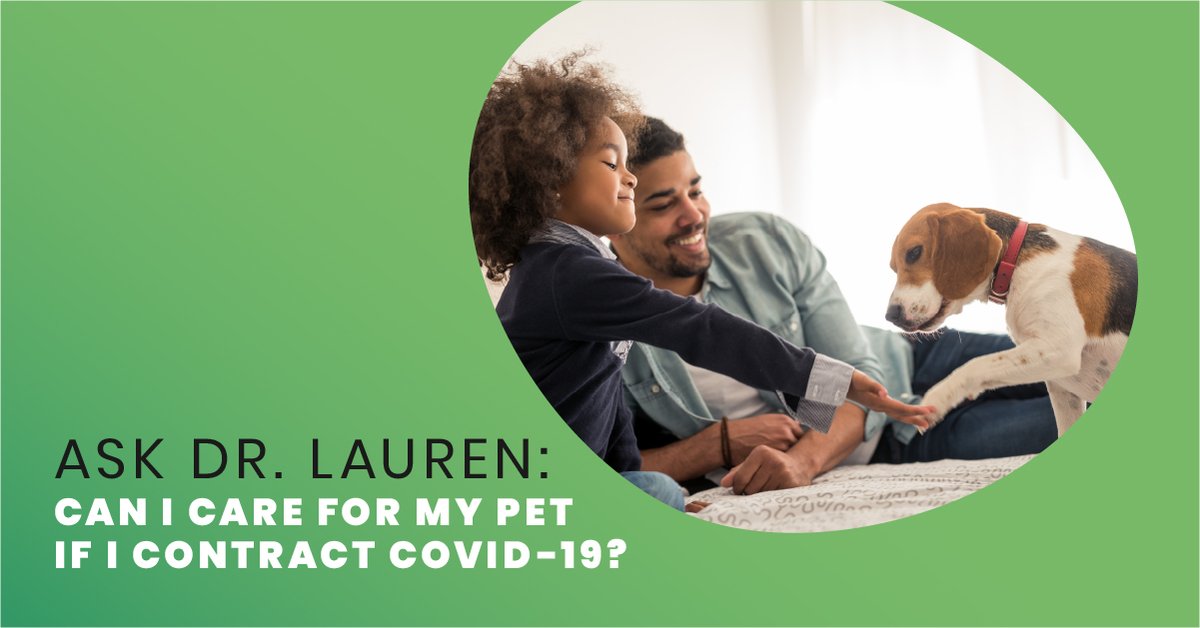 vip pet care contact