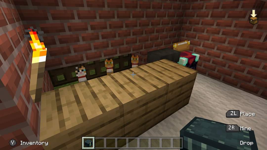 5yo made a Cat School!My heart!  #Minecraft