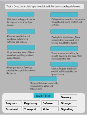 Tatum Pascal tweet media