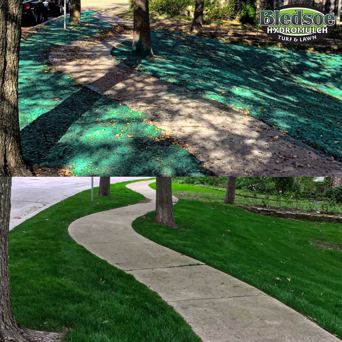 #hydromulch #hydromulching #realresults #profileproducts #dallastx #homeimprovement #texaslandscape #dallaslandscape #grass #newlawn #shadegrass #landscapephotography