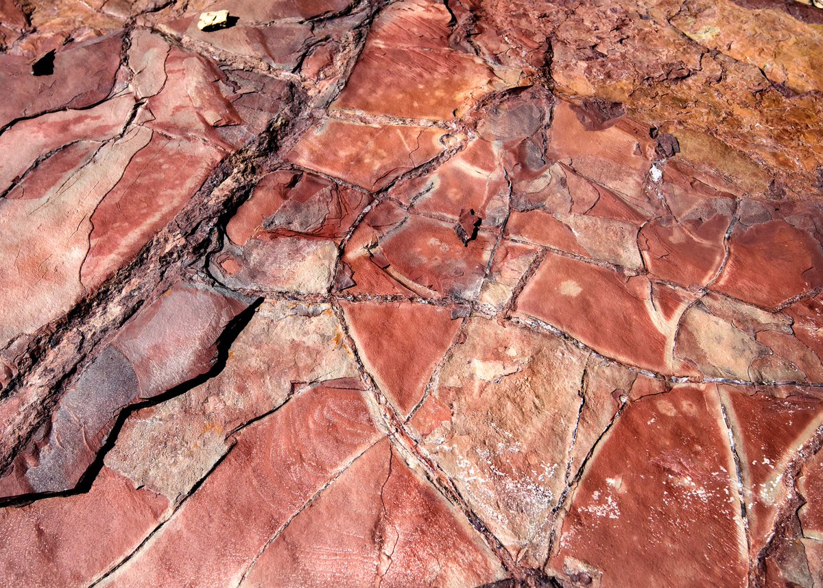 April 7th at 12:45pm MT (2:45pm ET): free Zoom program on the geologic wonders of Glacier National Park! This 45 minute virtual experience is geared for 5th-6th grade students and brought to you by the 
<a href="/GNPConservancy/">Glacier National Park Conservancy</a>.⁣⁣⁣ Register at cilc.org/ContentProvide…