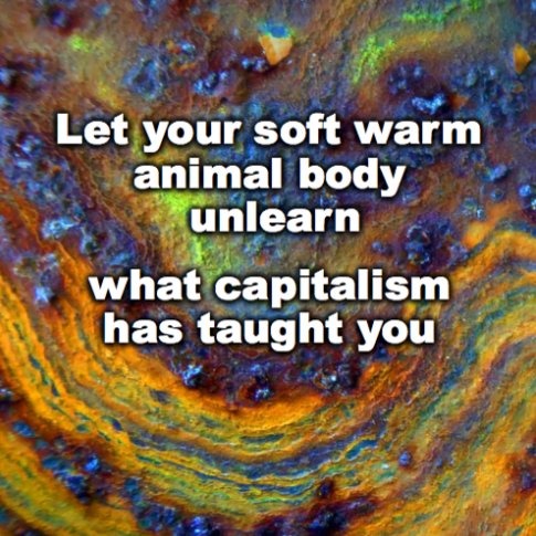 Free Will Astrology tweet media