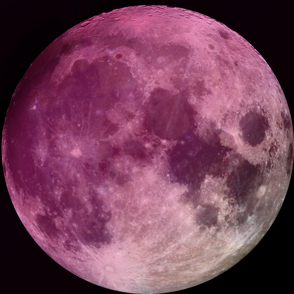 lambellucci's tweet photo. The Next Full Moon is the Pink Moon https://t.co/wTbVT7qylo https://t.co/I00qSay5RG