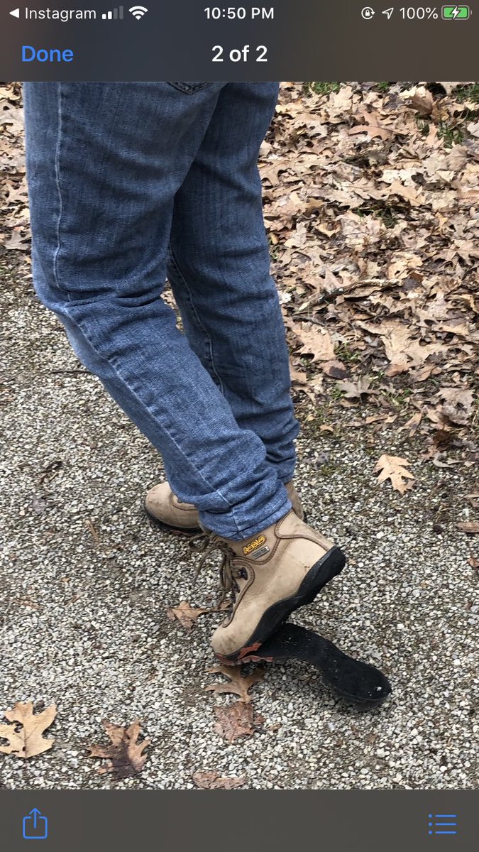 NFStudentSenate's tweet photo. Mrs. Bellore has been spending her time walking her dog, playing games, hiking, and working from her home office! https://t.co/7A78MeypJc